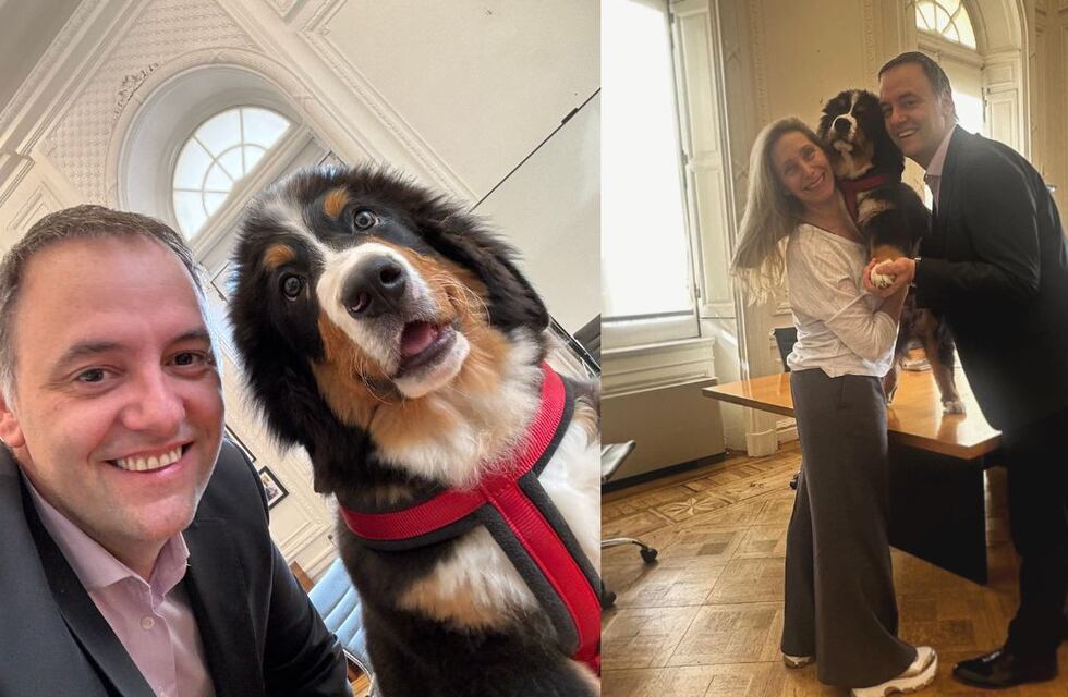 Cómo es Thor, el nuevo perro de Casa Rosada: de qué raza es y cuánto cuesta