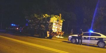 Montecarlo: interceptan ocho toneladas de yerba robada