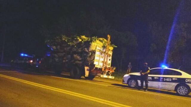 Montecarlo: interceptan ocho toneladas de yerba robada