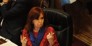 El Senado sesiona de forma virtual por primera vez en la historia\u002E (Federico López Claro)