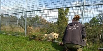 La reacción de Kimba, Sofía y Gino tras ser liberados en un santuario