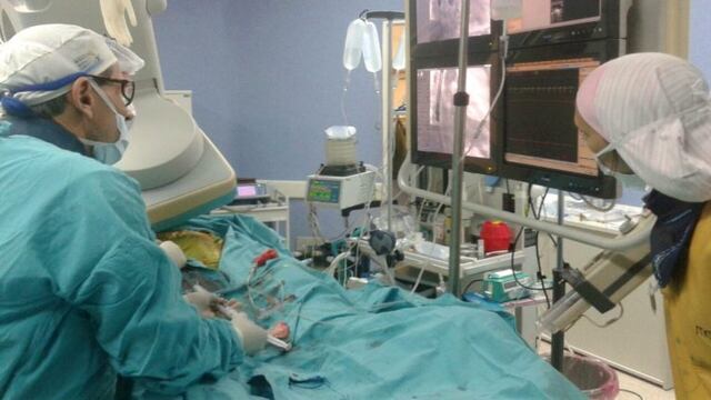 Ademu00e1s, este au00f1o tambiu00e9n se ha incrementado el nu00famero de efectores trabajando para la donaciu00f3n