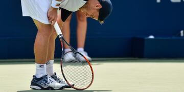 Fin del sueño para Schwartzman\u002E
