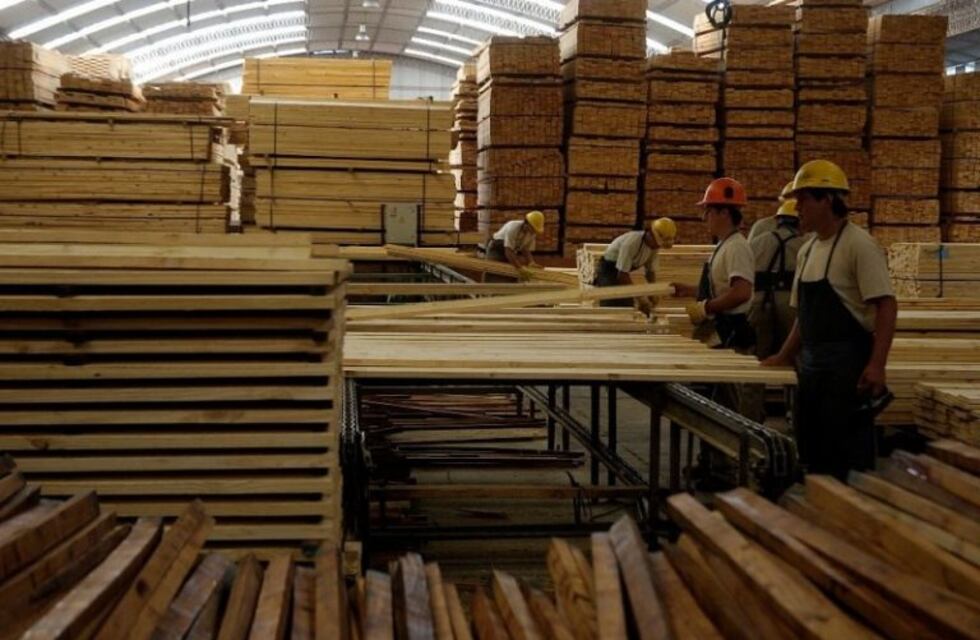 La foresto industria misionera se reactivará en los próximos días