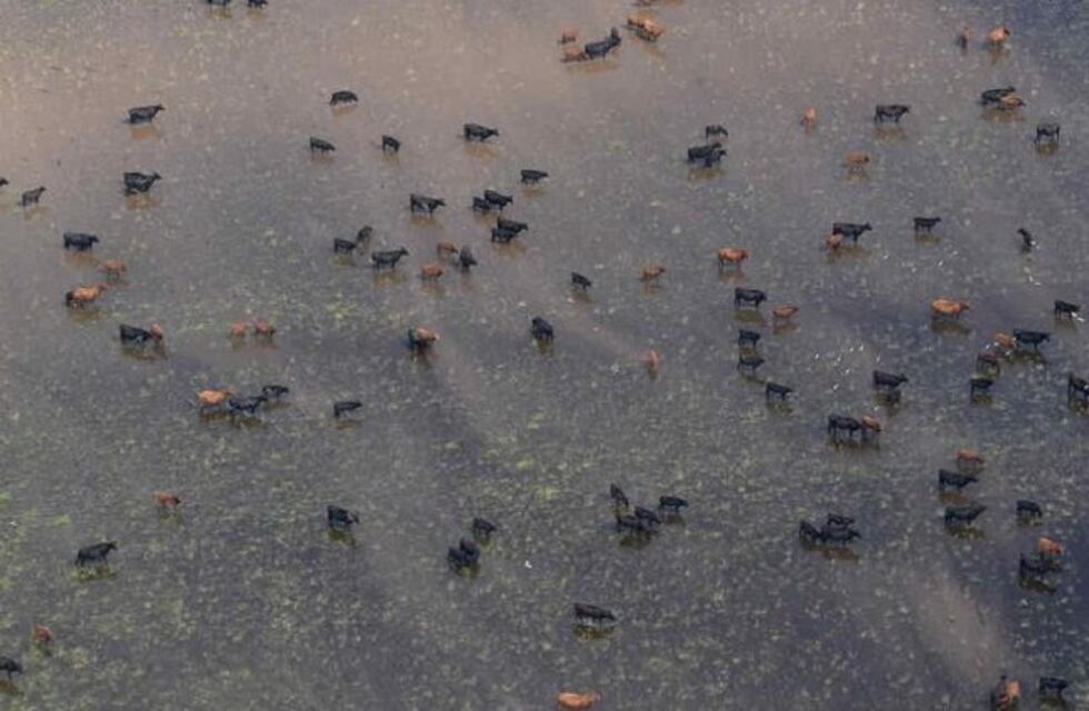 Córdoba, entre las provincias con emergencia agropecuaria