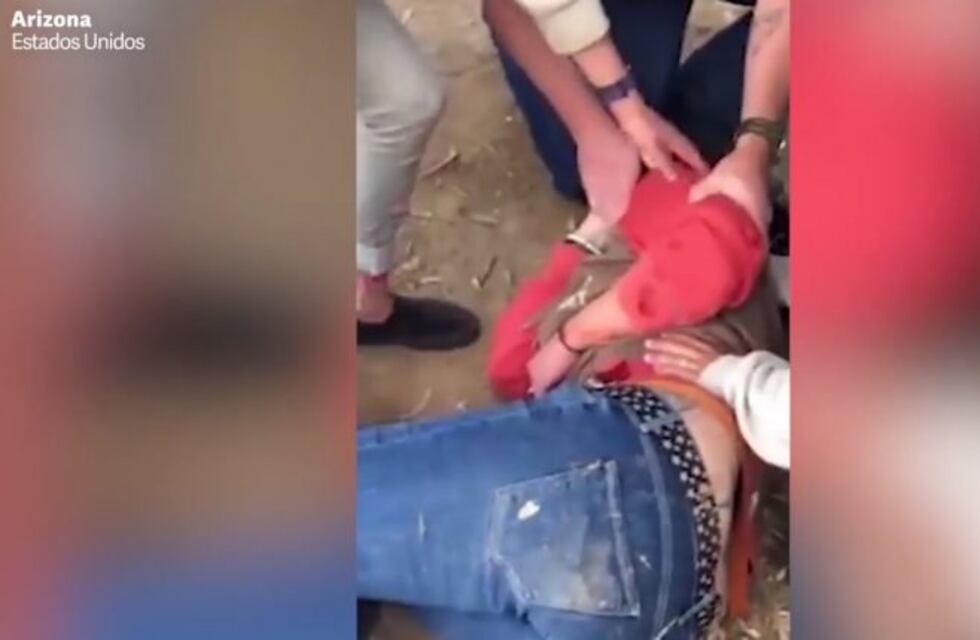 Se quiso sacar una selfie con un jaguar y así terminó