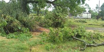 Temporal en departamento Diamante