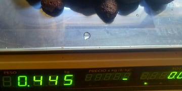 La producción de trufas negras\u002E