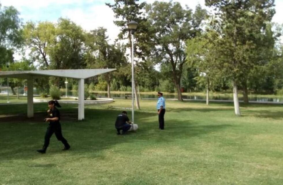 El municipio abrió una investigación para ver el motivo por el que la columna estaba electrificada