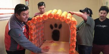 Casas para perros con botellas plásticas