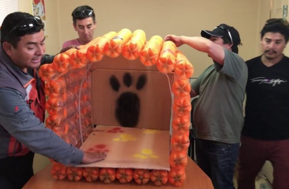 Campaña para transformar basura plástica en casas para animales