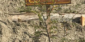 Repique en Reserva Río Valdez