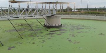 La planta de Bajo Grande será readecuada con una millonaria inversión\u002E