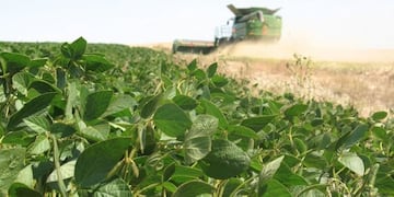 Cosecha de soja en Entre Ríos\u002E