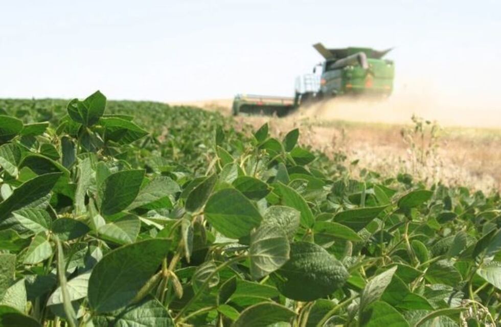 El Gobierno modificó el esquema de retenciones agropecuarias a través de un decreto