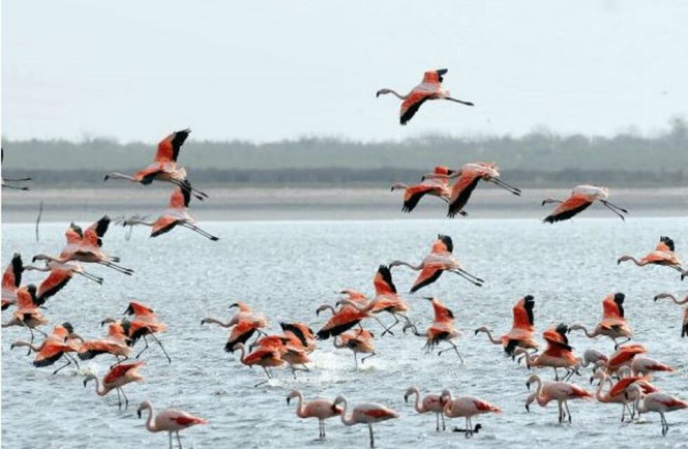 Estos son los parajes cordobeses que compiten como maravillas nacionales