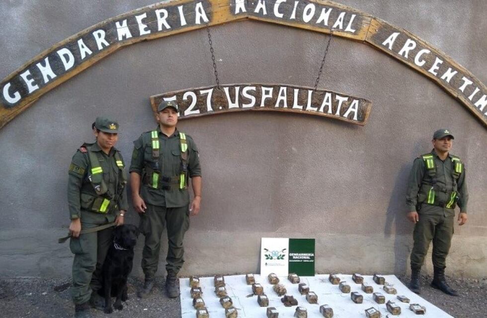 Perros antidroga descubrieron paquetes de marihuana en un camión
