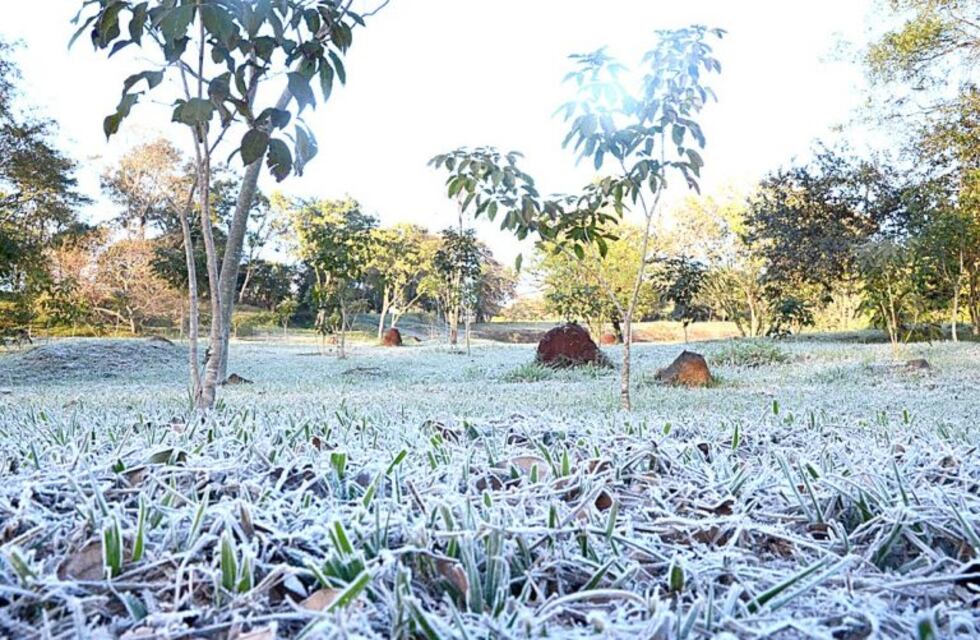 Paraná amaneció este miércoles con -3°C  y para el jueves se pronostican días primaverales
