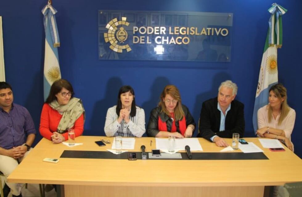 Terminó la selección de quienes integrarán el Parlamento Juvenil