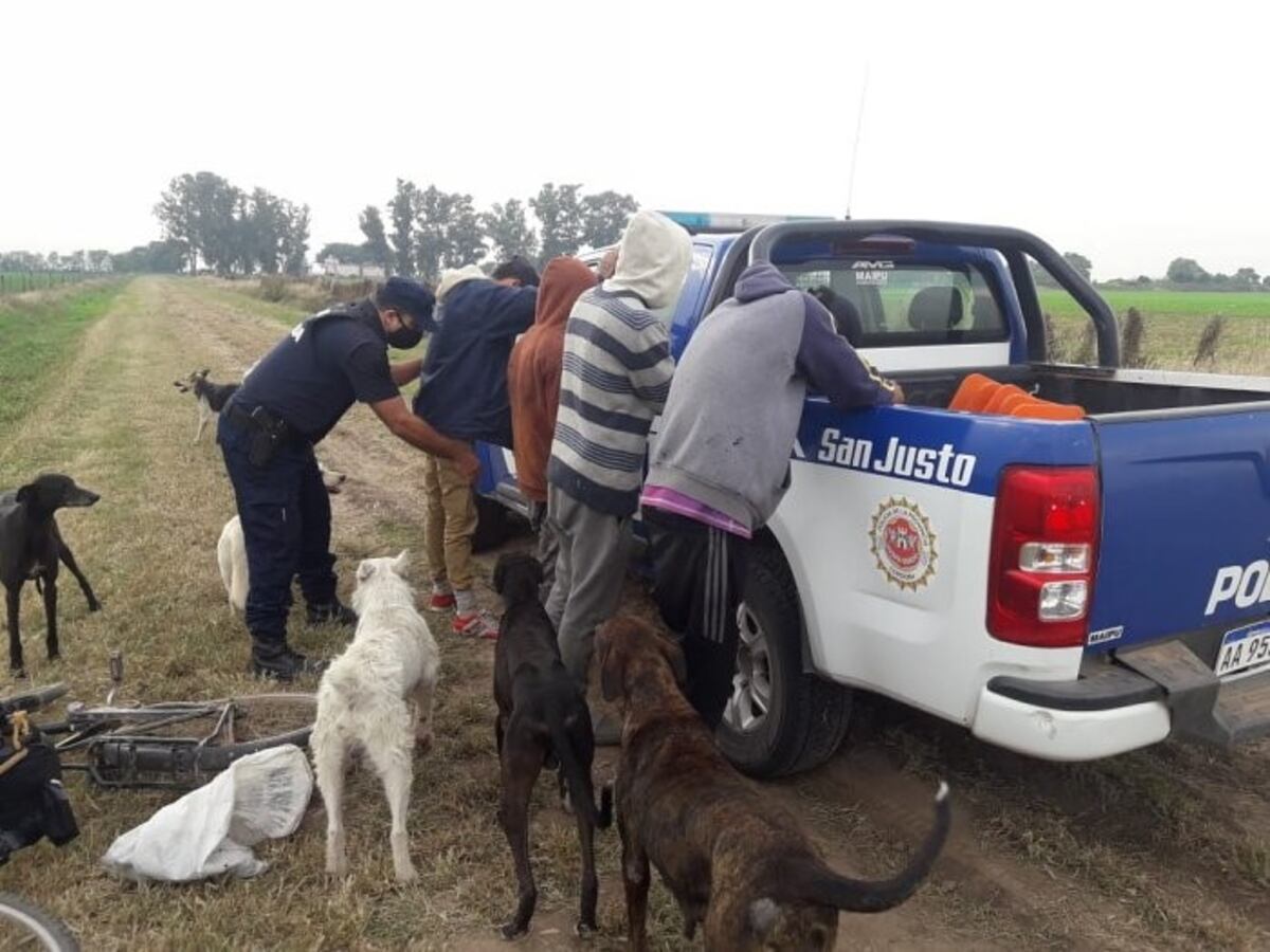 Cazaban perdices en Morteros y fueron detenidos