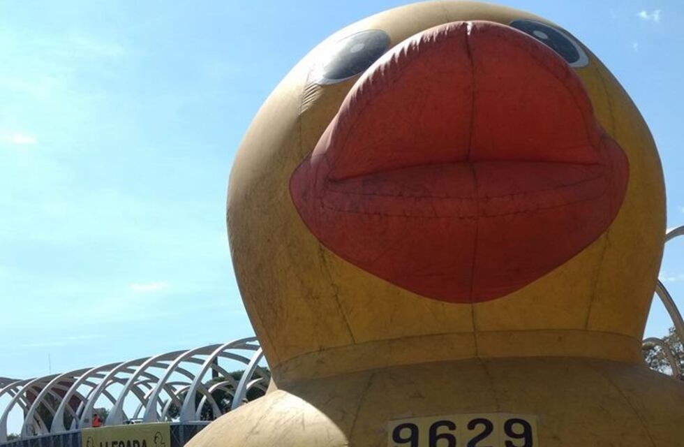 Se llevó a cabo una nueva Carrera del Pato Solidario en Córdoba