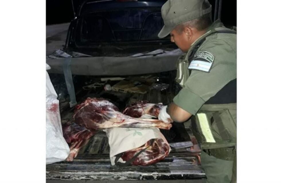 Decomisaron 120 kilos carne de una especie protegida en Río Negro