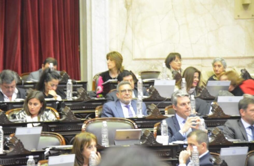 Ley de emergencia alimentaria: Hay 3 diputados riojanos que votaron a favor y un faltazo