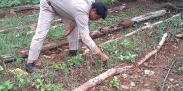 Luego de quedarse sin trabajo, comenzó a vender la producción de su huerta y pide donaciones para ampliarla