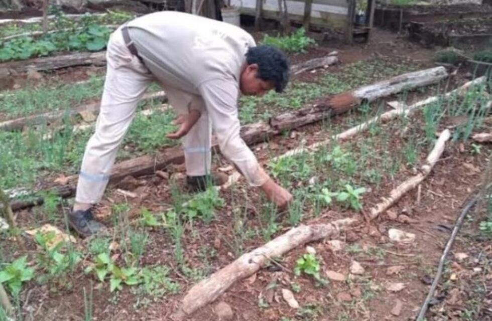 Luego de quedarse sin trabajo, comenzó a vender la producción de su huerta y pide donaciones para ampliarla