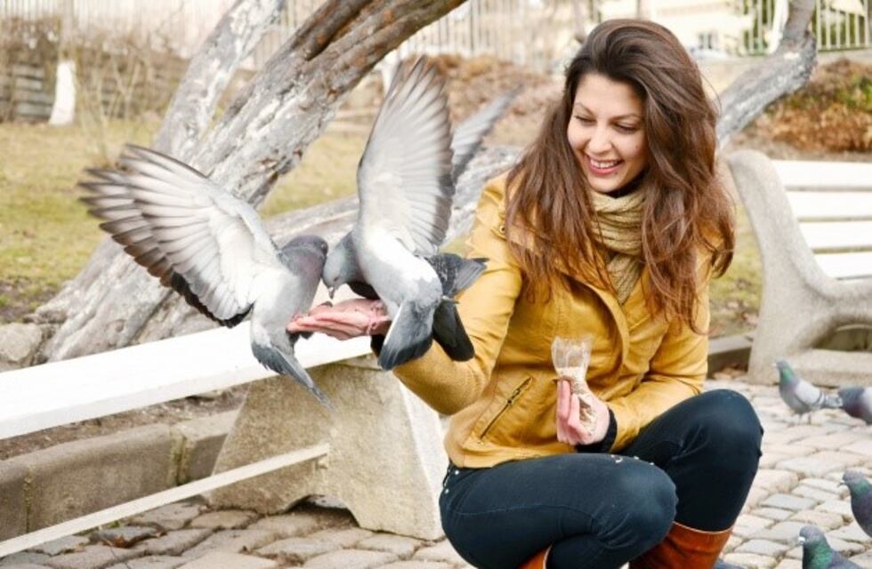 Constructiva, destructiva o indiferente: ¿cuál es nuestra postura ante la vida?