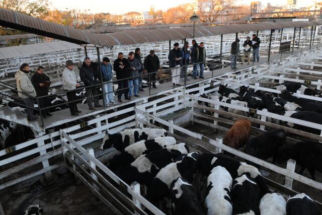 La Legislatura porteña hará una audiencia pública por el Mercado de Hacienda de Liniers\u002E (DYN)