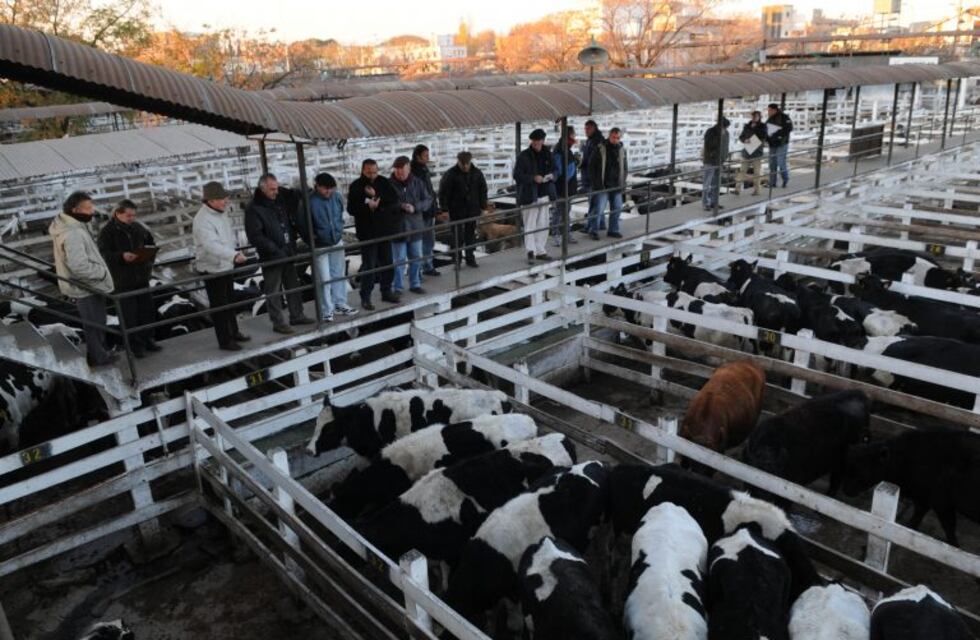 La Legislatura porteña hará una audiencia pública por el Mercado de Hacienda de Liniers