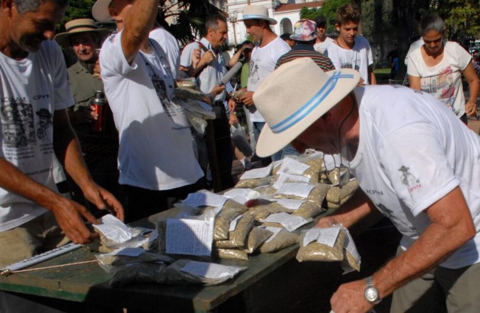 Sigue el Yerbatazo en Plaza de Mayo