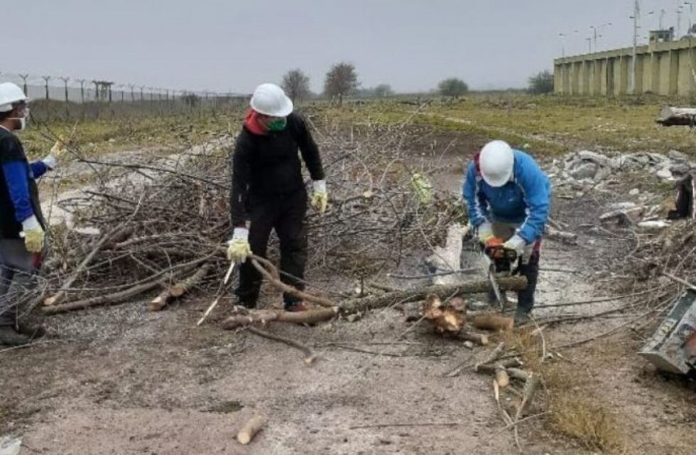 Presos de General Alvear cortan leña para familias necesitadas