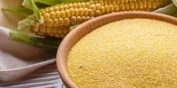 Harina de maíz
