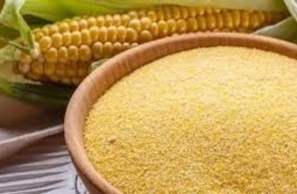 Compran variedades de maíz criollo para distribuir en las chacras de Misiones