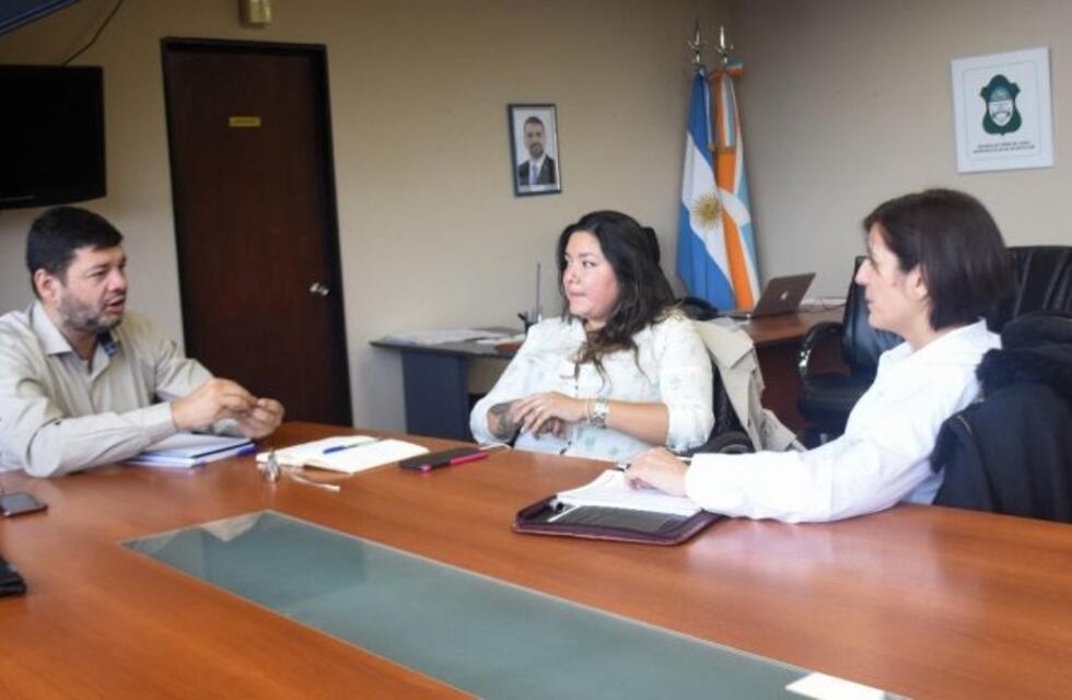 Ushuaia se prepara para una intensa actividad cultural durante el 2020