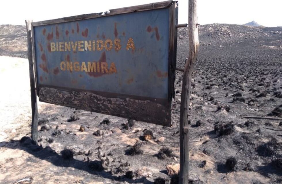 David Nalbandian llamó a tomar conciencia sobre lo que está sucediendo con los incendios