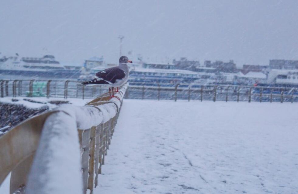 Promocionaron en Córdoba la temporada invernal 2018 y se presentó la fiesta de la noche mas larga