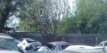 Santa Ana: robo, persecución y detención