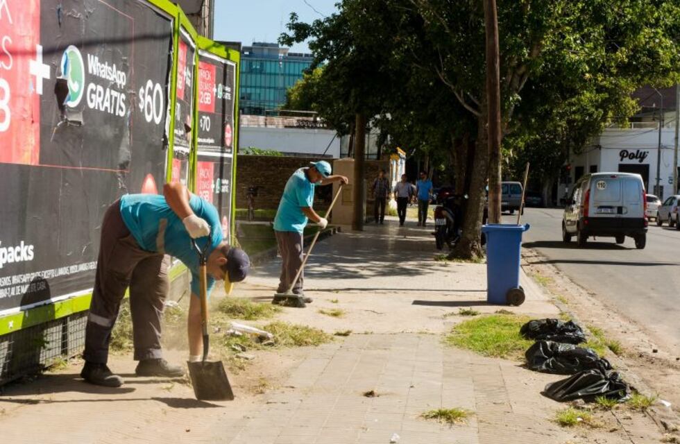 Bajaron 22% los reclamos en recolección de residuos