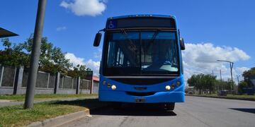 La línea 141 suma nuevas unidades\u002E