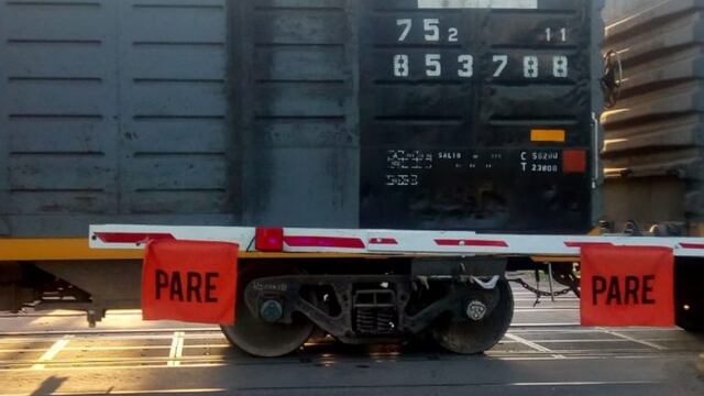 Los vagones del Nuevo Central Argentino frenaron sobre Eva Perón y Buenos Aires\u002E (@minsegsf)