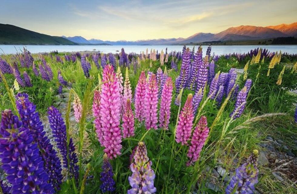 Ushuaia: entérate cómo estará el tiempo en el comienzo de la primavera