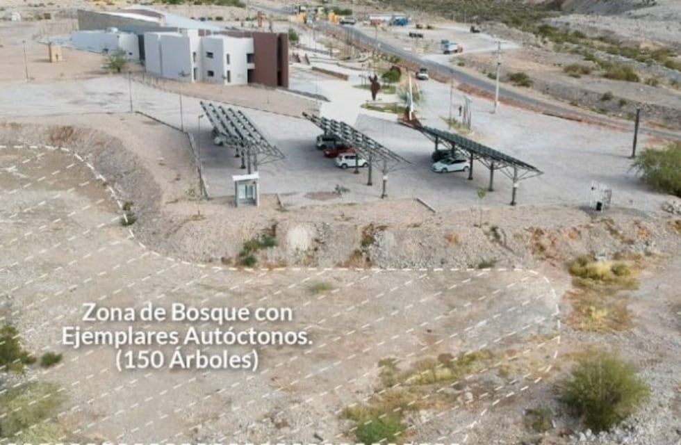 San Juan tendrá un nuevo pulmón verde en un parque ecológico