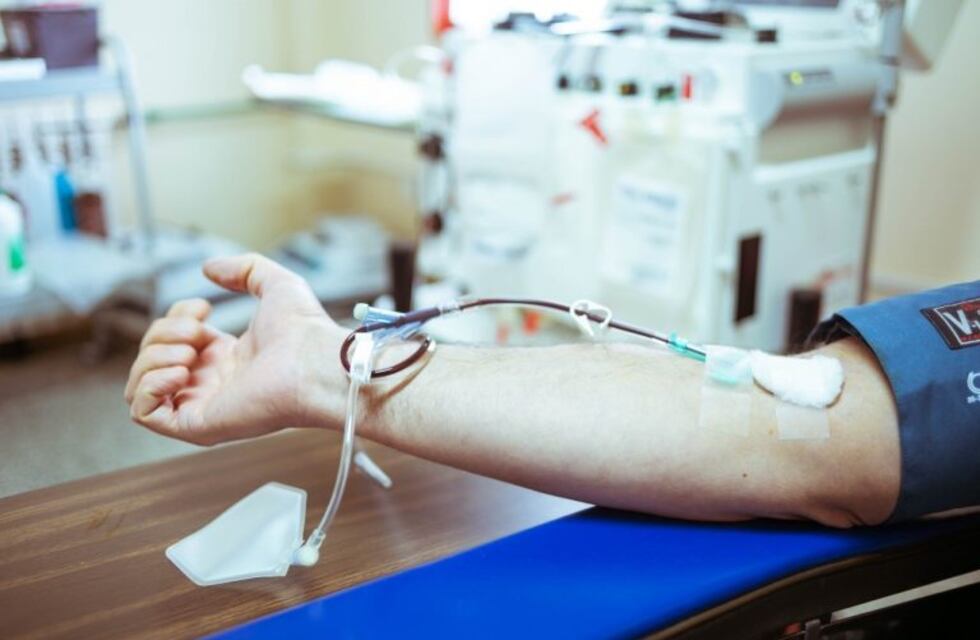 Más del 70% del plasma donado en Salta se destinó a hospitales públicos