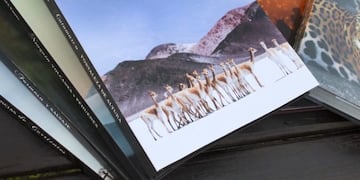 Presentaron el libro "Catamarca Fortaleza de Altura"