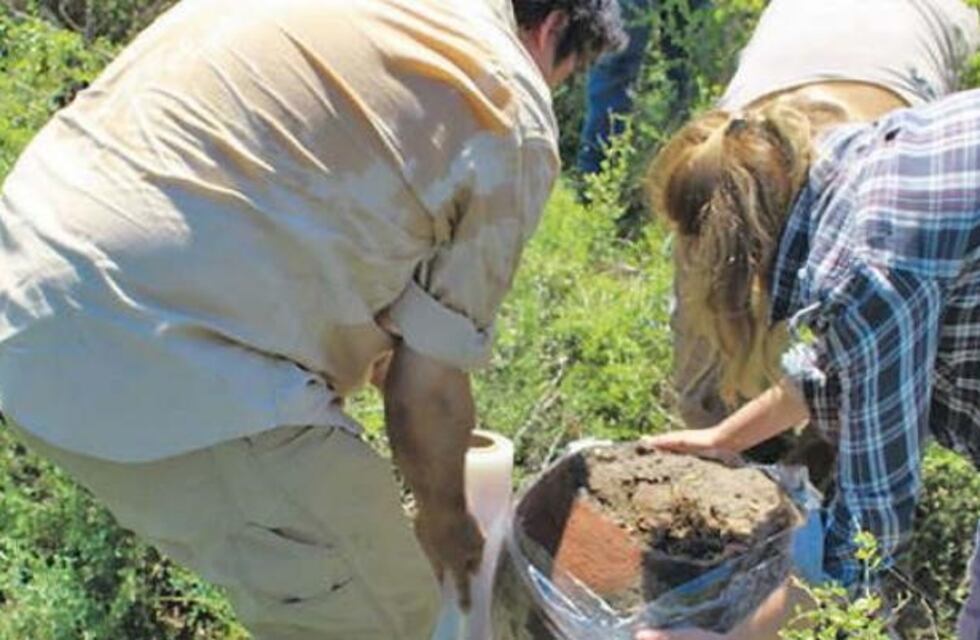 Encontraron una urna funeral invertida en Salavina