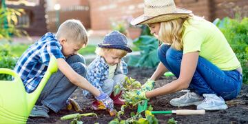 Mother and her sons children planting strawberry in home garden