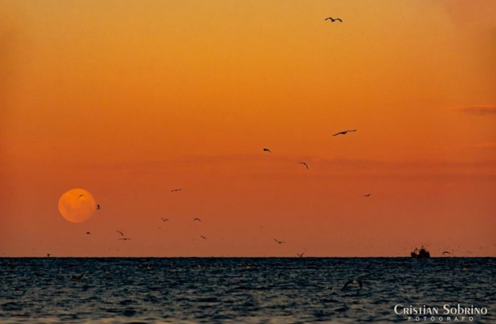 El Tiempo en Caleta Olivia